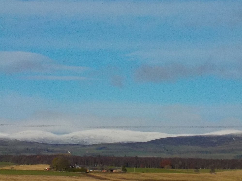 DSCN3528.JPG