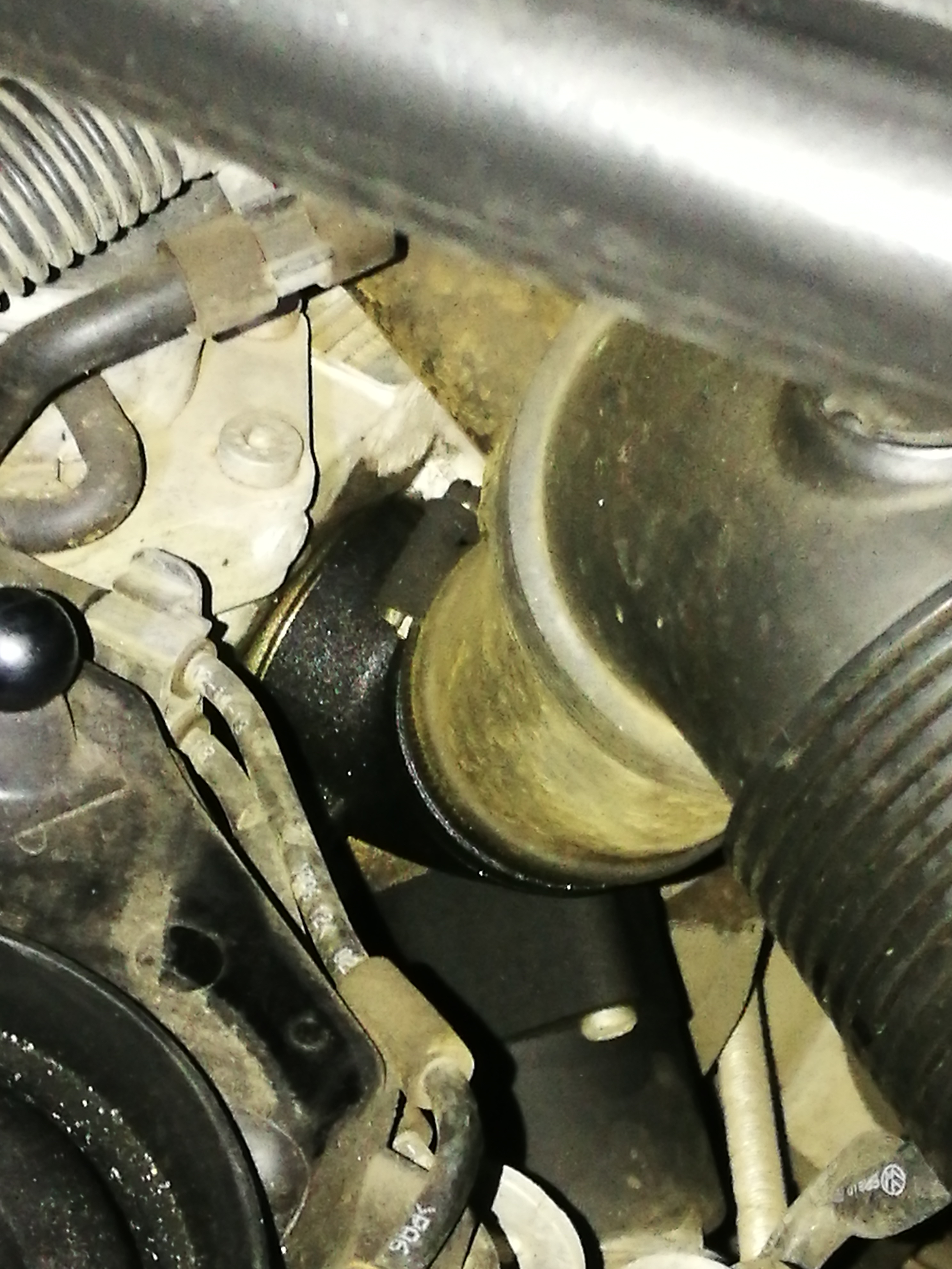 Oil Leak