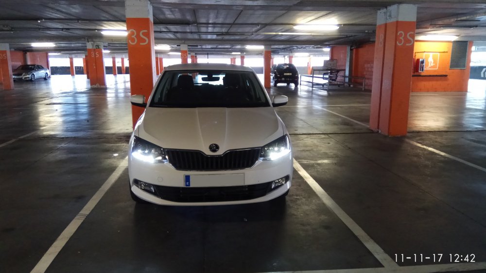 fabia3.jpg