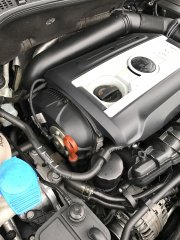 B3064F81-56CE-448E-B5F3-F33ED3EC53C9.jpeg