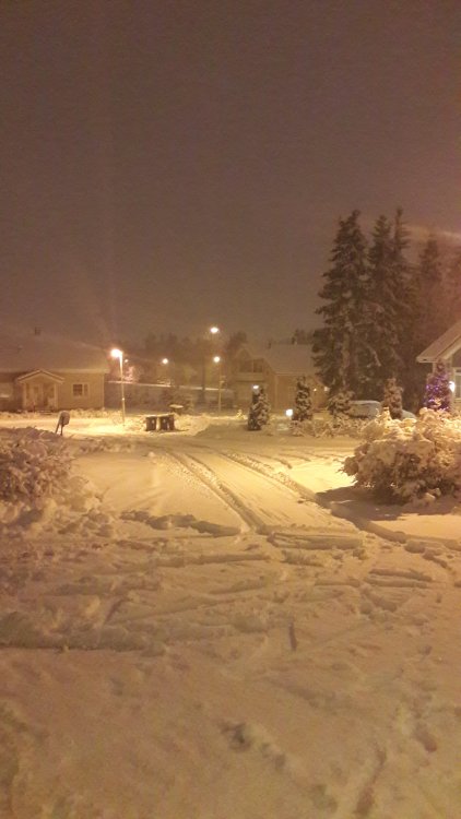 20171212_194541.jpg