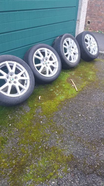 20171217_102621.jpg