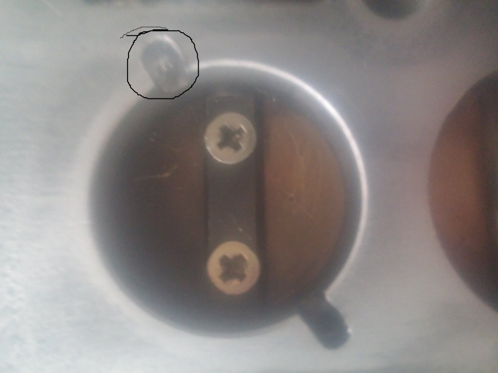 20171201_113305 - Copy.jpg