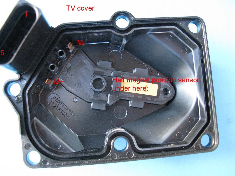 TV cover.jpg