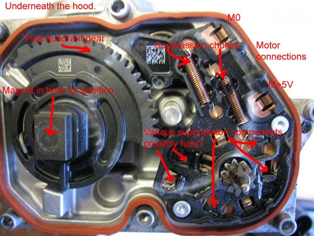 Underneath the hood.jpg
