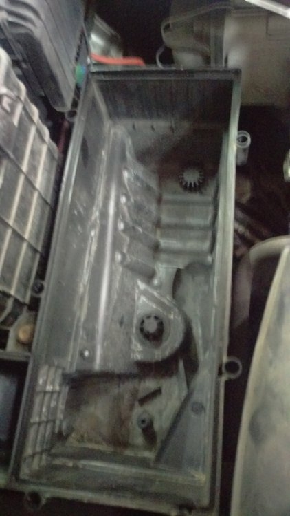 IMAG0034.jpg