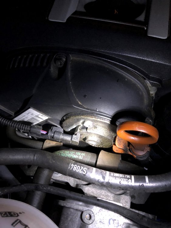 skoda_1.jpg