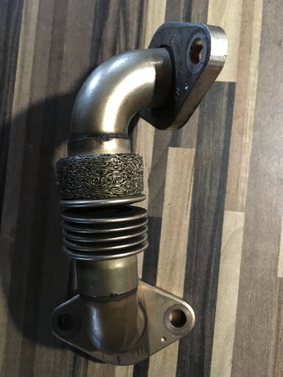 Exhaust gas smell Handy Topics & Guides BRISKODA