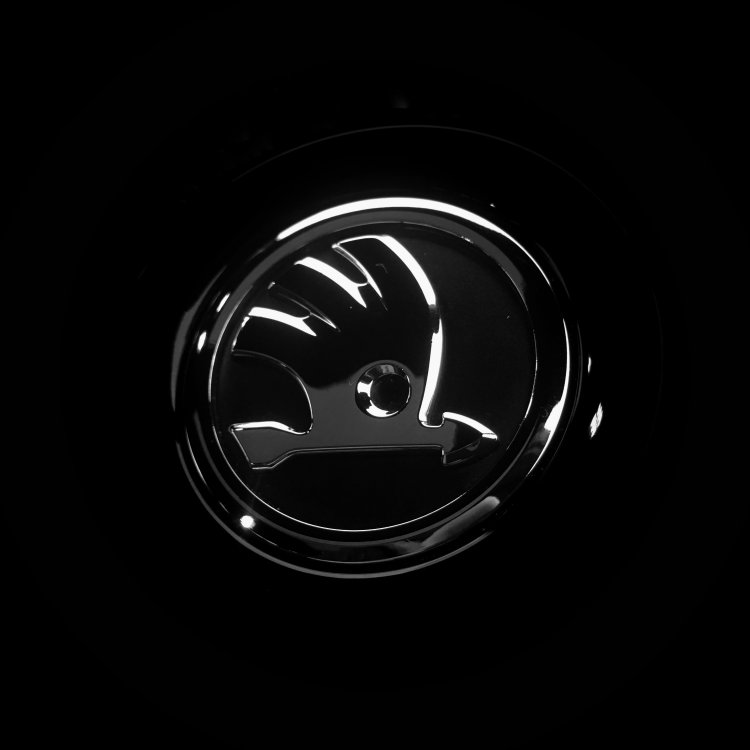 2836B795-2C00-4C32-872E-608E8F0E5E7E.thumb.jpeg.eec0698a27f1ceb7ed225000abd68d57.jpeg