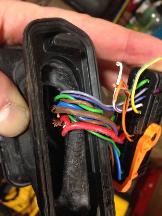 door loom damaged.jpg