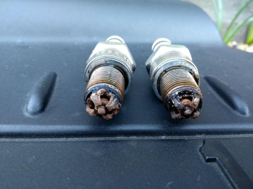 Plugs 1.jpg