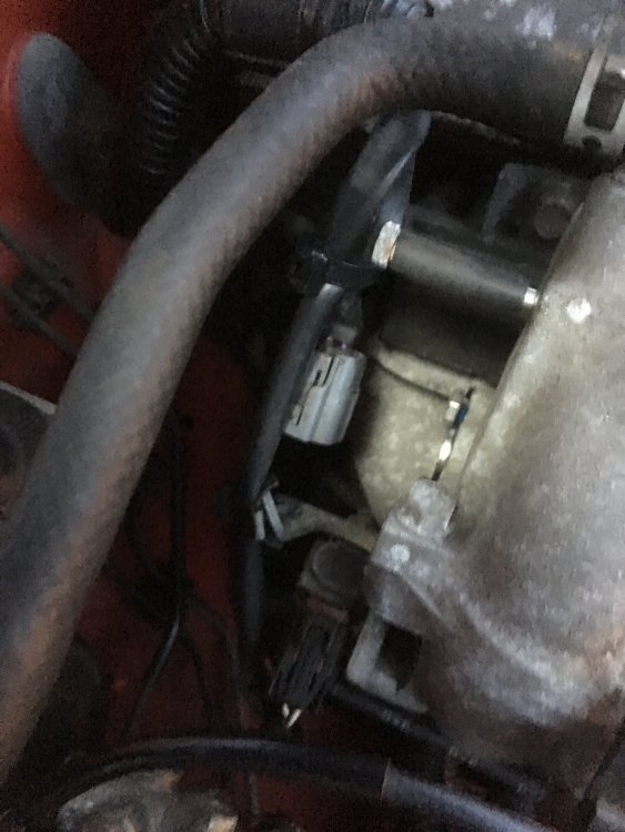 9911C899-81E6-4B0E-A9DE-6E2BFD3B78F3.jpeg