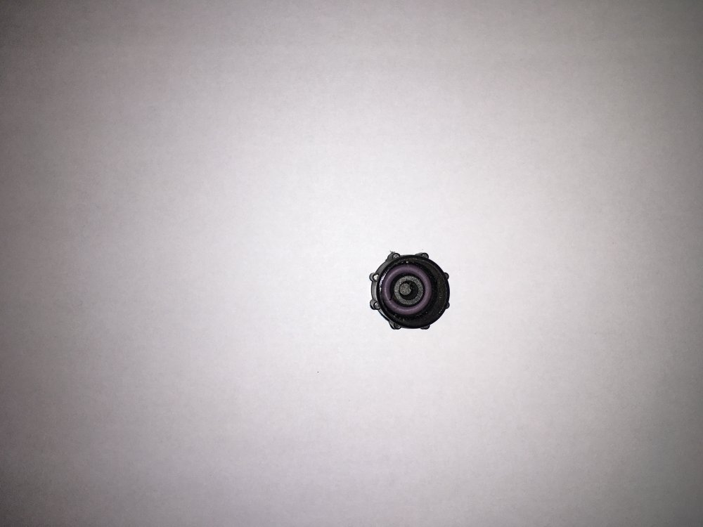 DB03935F-63FD-44C6-96CA-5982E6B5563C.thumb.jpeg.263ed2dbee271889fe8b31ee3a6cb05a.jpeg