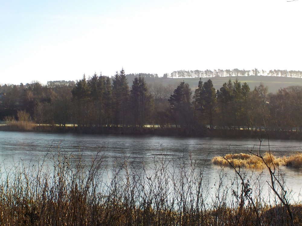 DSCN3611.JPG