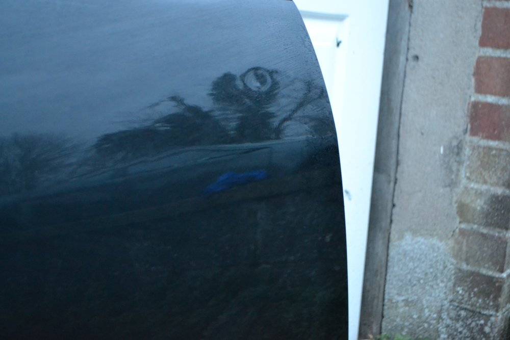 DSC_0175.JPG