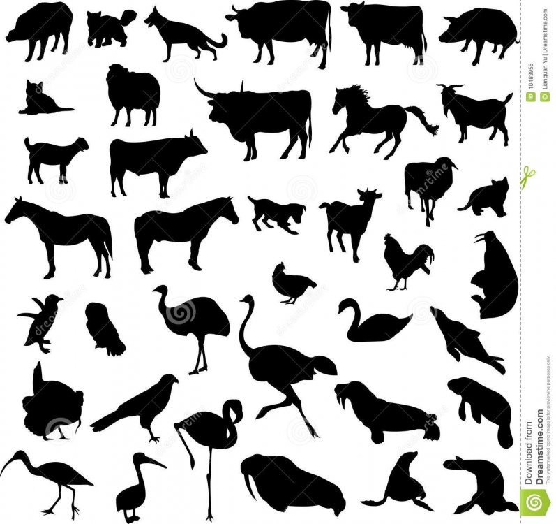 animal-silhouette-contour-10483956.jpg