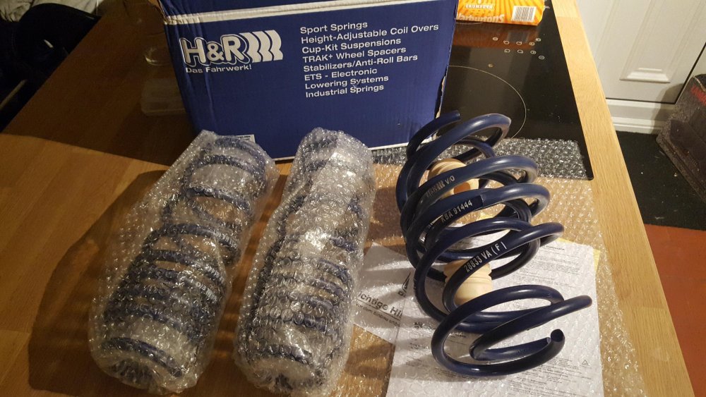 hnrs.jpg