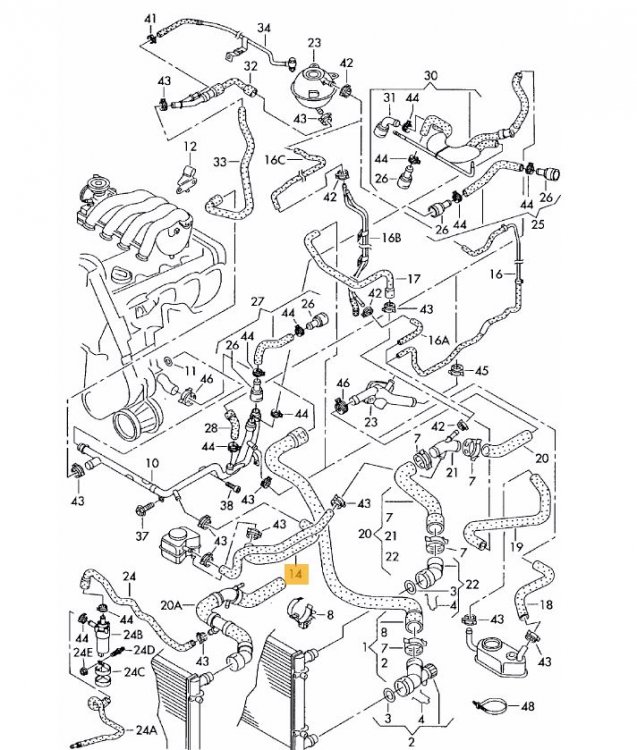 hoses.JPG