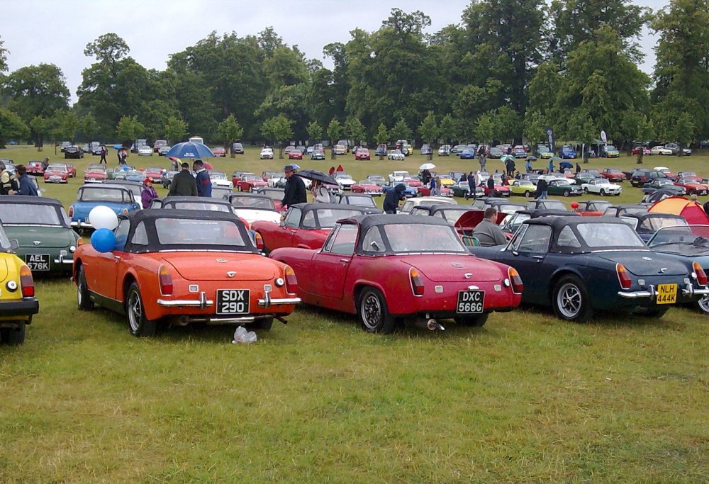 Rear Plates.jpg