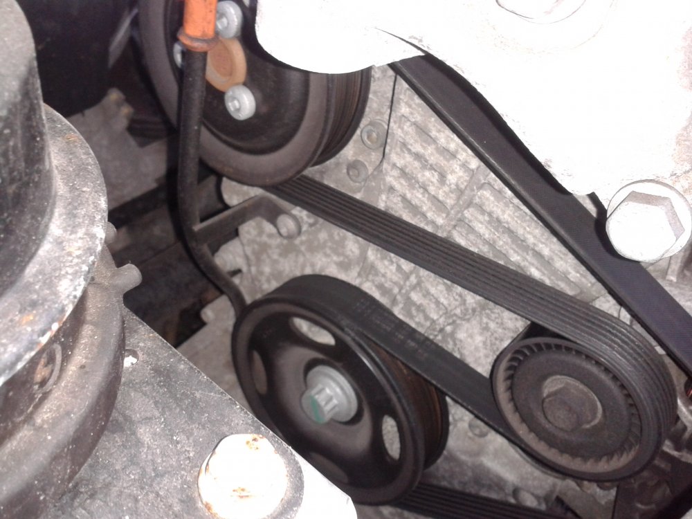 fabia.jpg