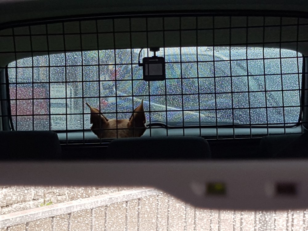 20170819_131456.jpg