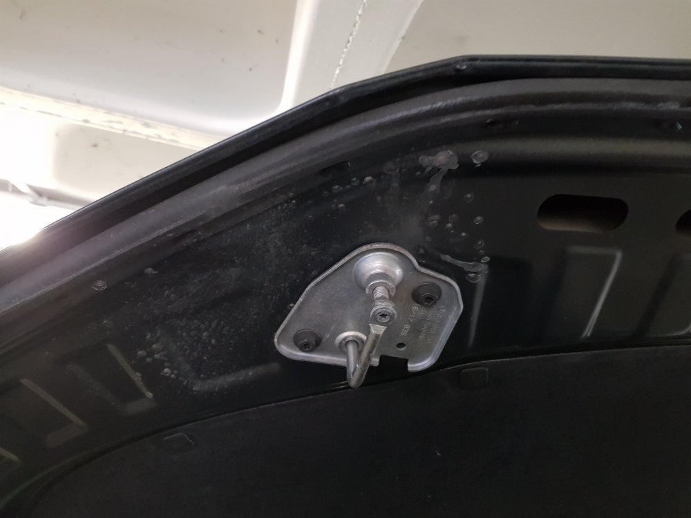 20180304_140619.thumb.jpg.2c5e3233dd762c70602c1f7e3723e108.jpg