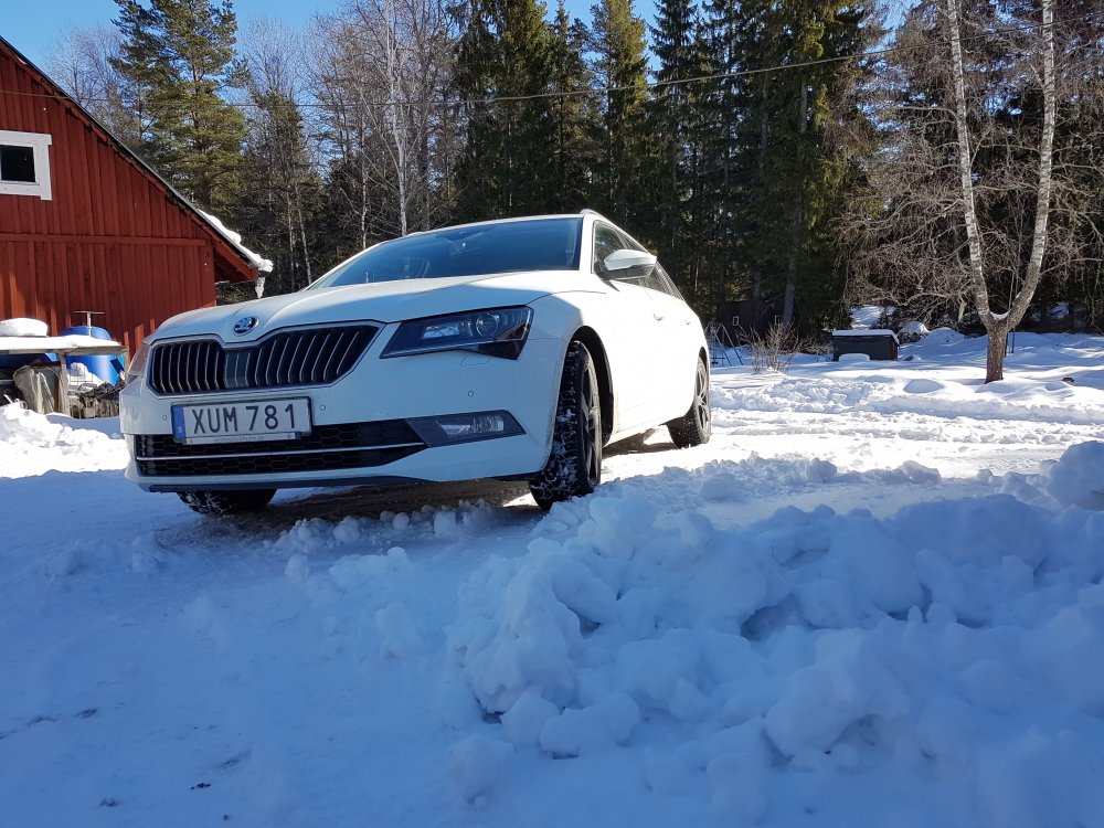 20180318_131334.jpg