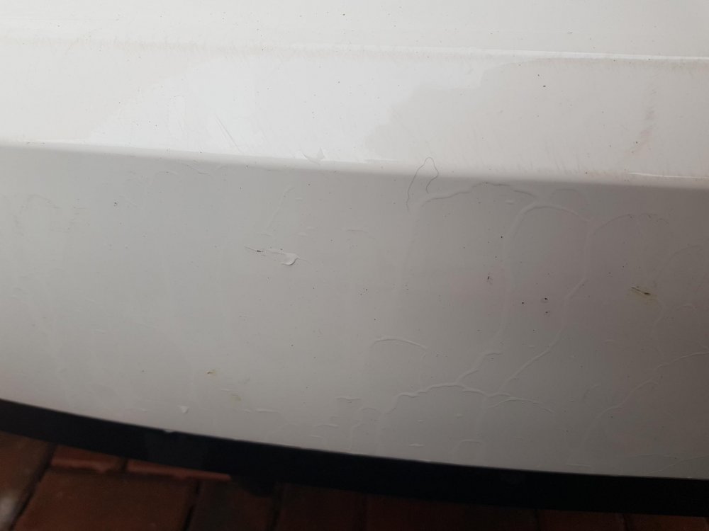 20180323_163713.jpg