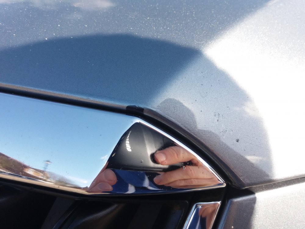 20180325_121721.thumb.jpg.88bc8b8a81078ed37feabe19d8ae7797.jpg