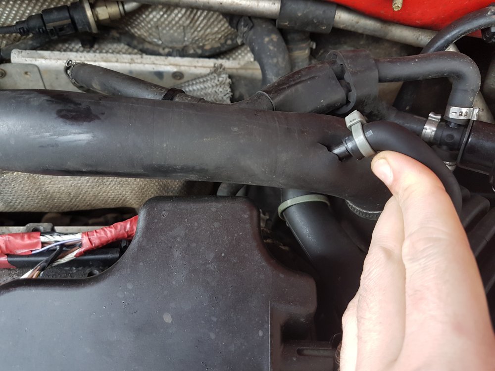 20180331_103802.jpg