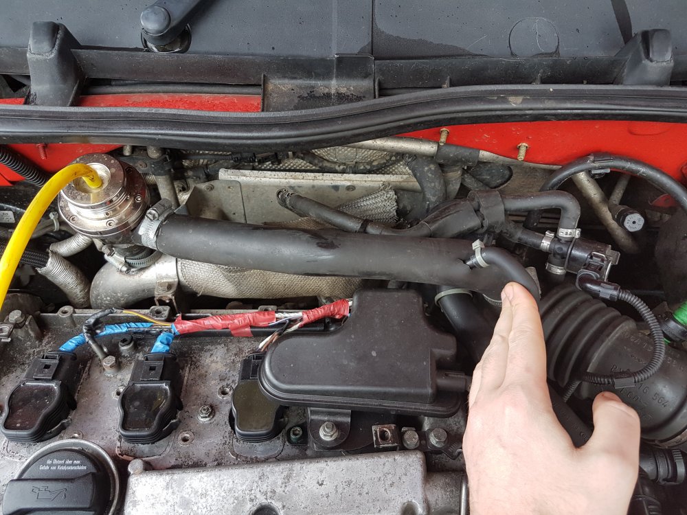 20180331_103806.jpg