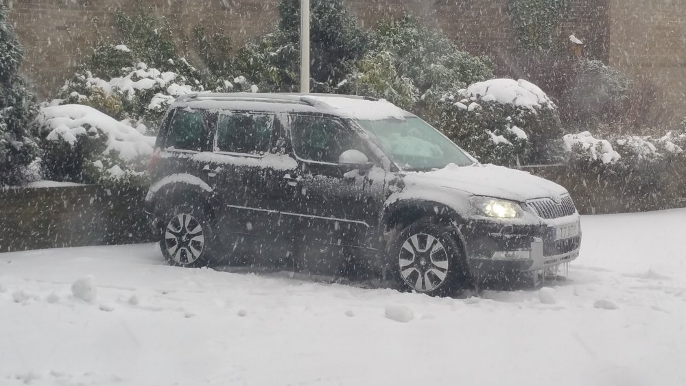 Yeti in the snow.jpg