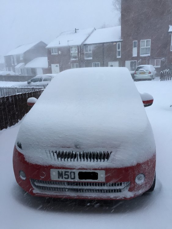 5a9edcab867c9_CitigoinSnow.thumb.jpg.f7403adc7a0d9b6659310c4f2ef1ea87.jpg