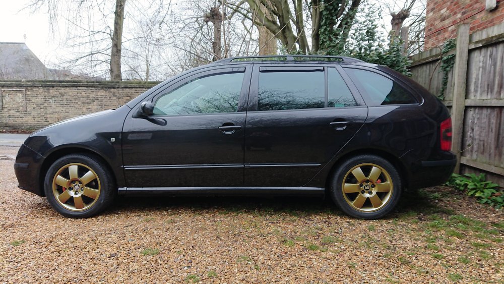 Side On Fabia With Brakes Gold.jpg