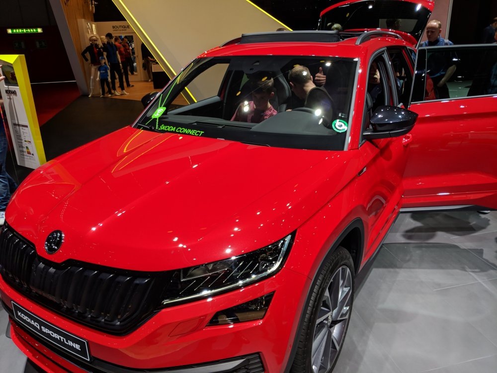 Geneva Briskoda 132952-2.jpg