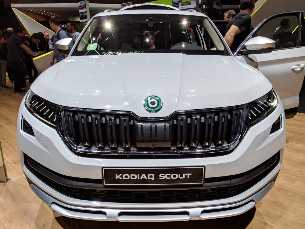Geneva Briskoda 134432-2.jpg
