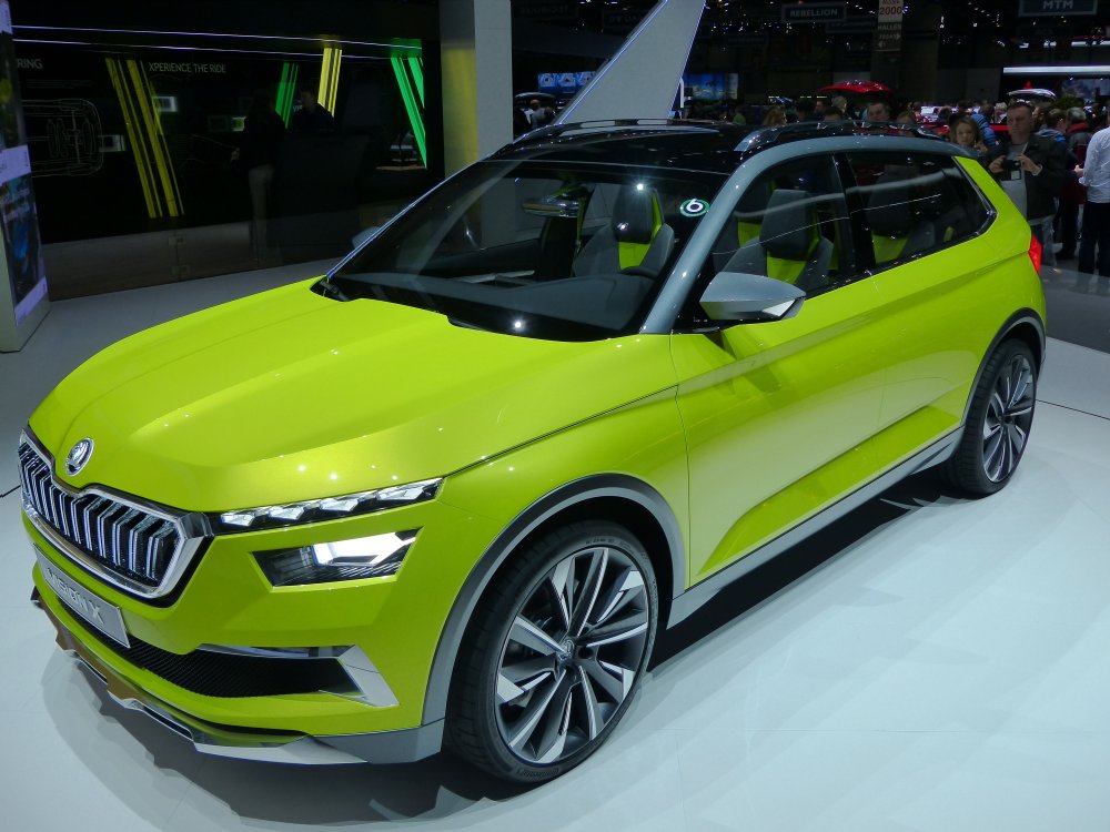 Geneva Briskoda 1050713-2.JPG