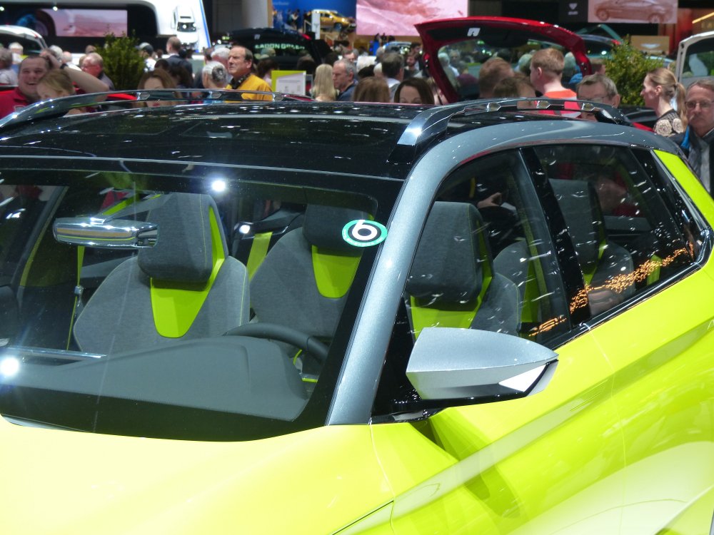 Geneva Briskoda 1050714-2.JPG