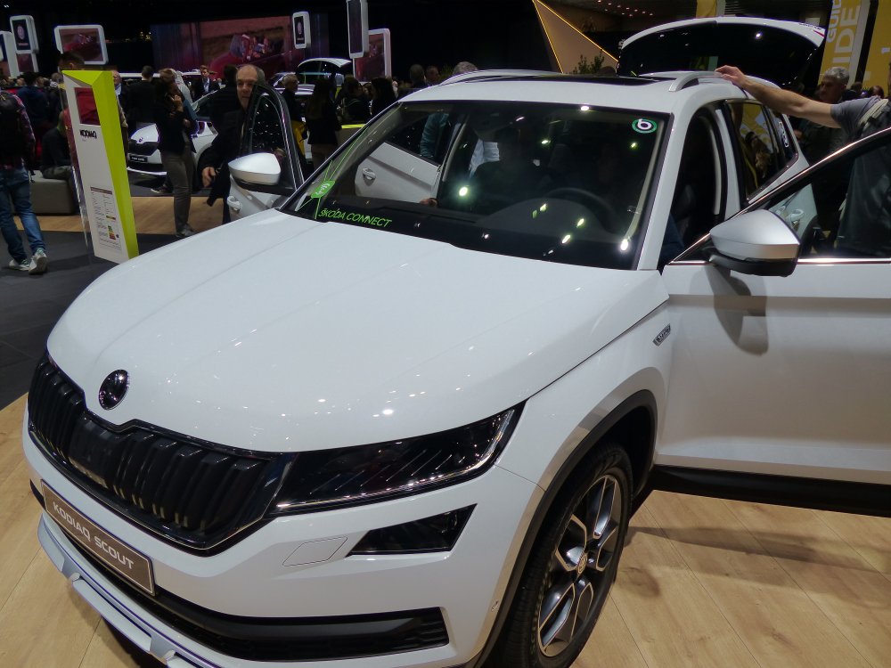 Geneva Briskoda 1050721-2.JPG
