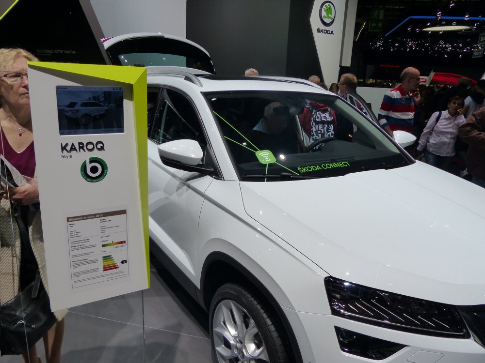 Geneva Briskoda 1050722-2.JPG