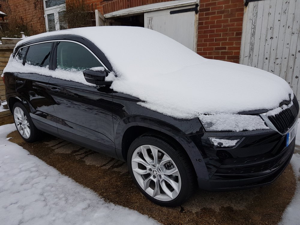 Snowy Karoq 2.jpg