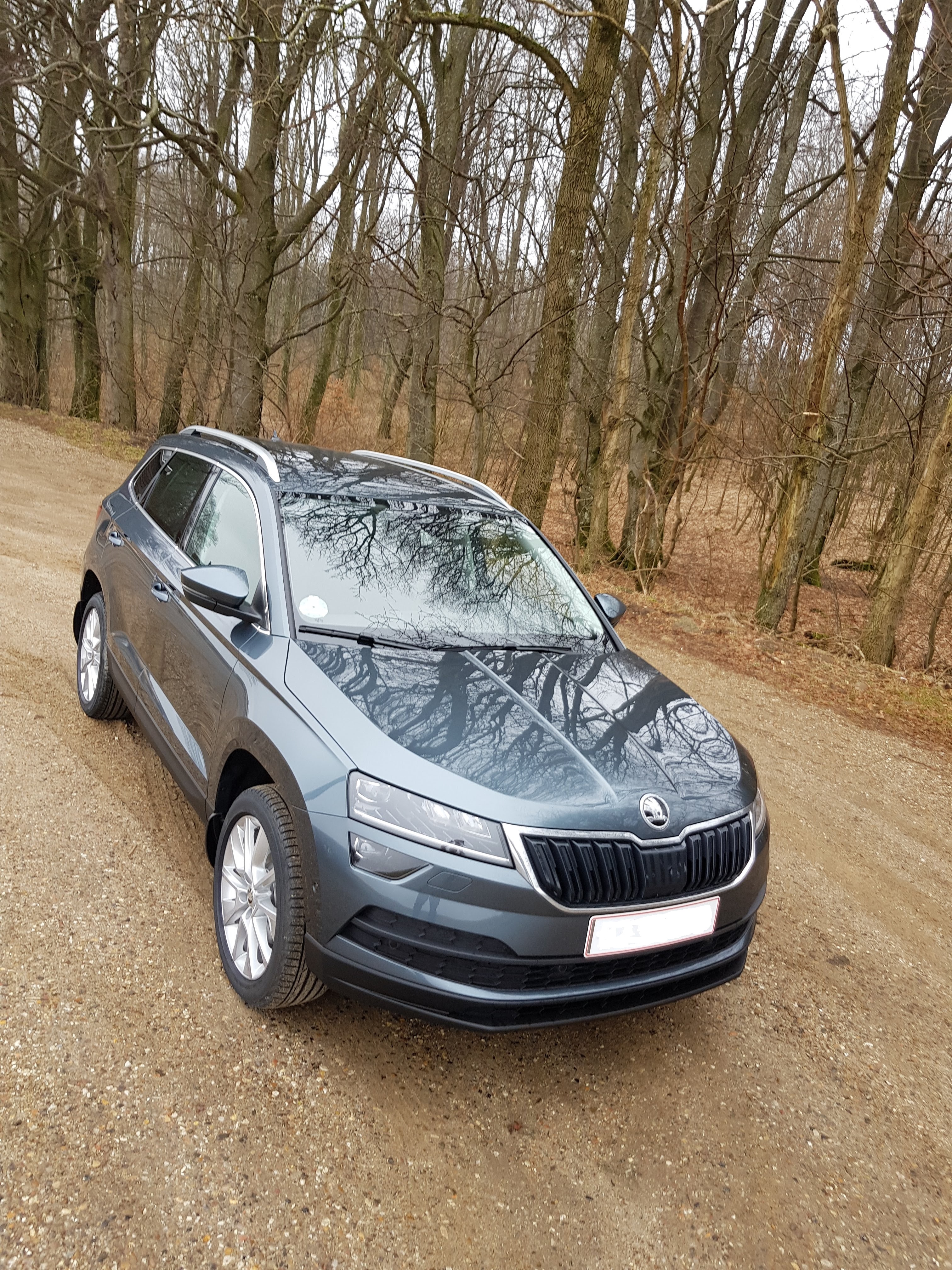 My 1,5 TSI DSG Style version (Danish)