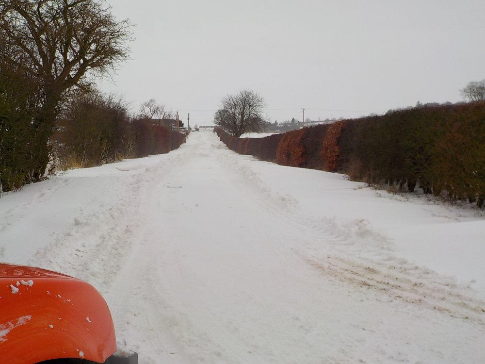 DSCN3908.JPG