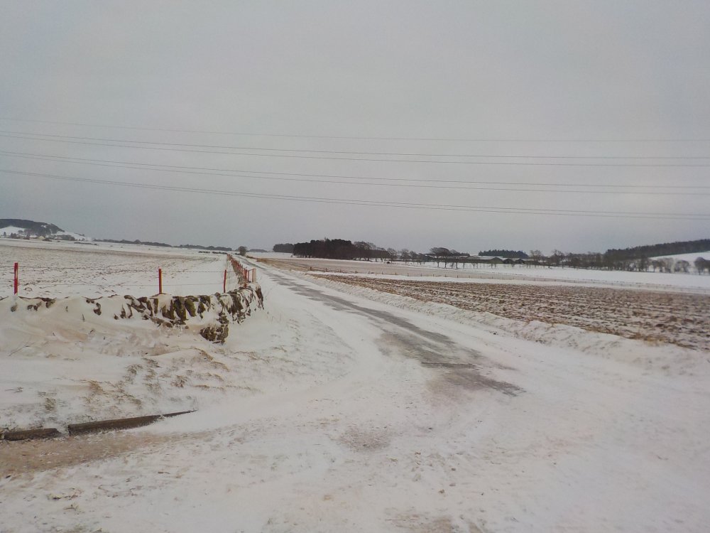 DSCN3915.JPG