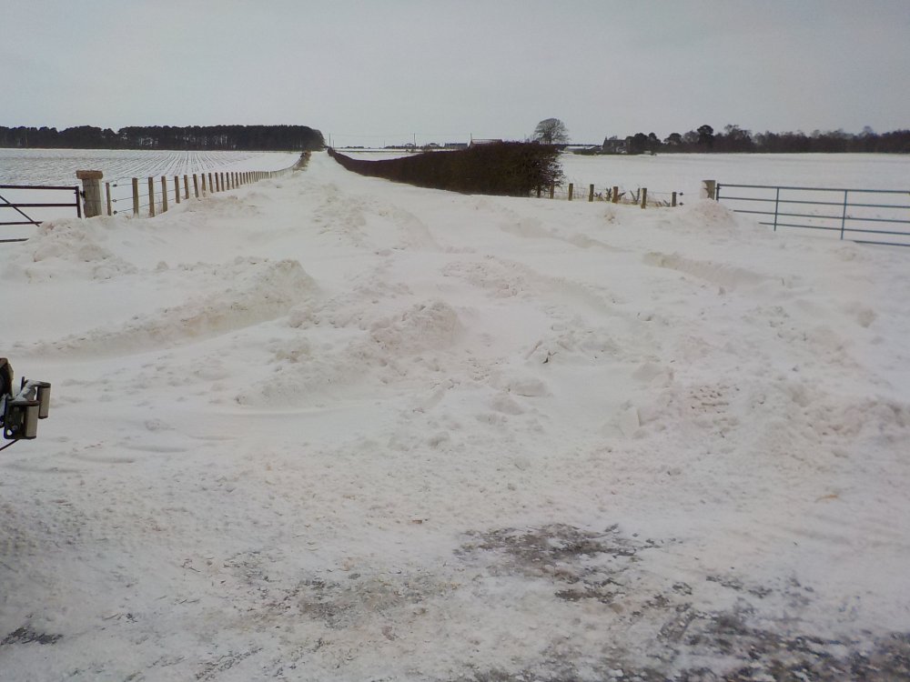 DSCN3918.JPG