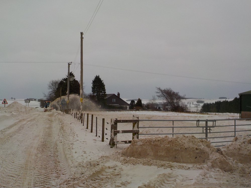 DSCN3921.JPG