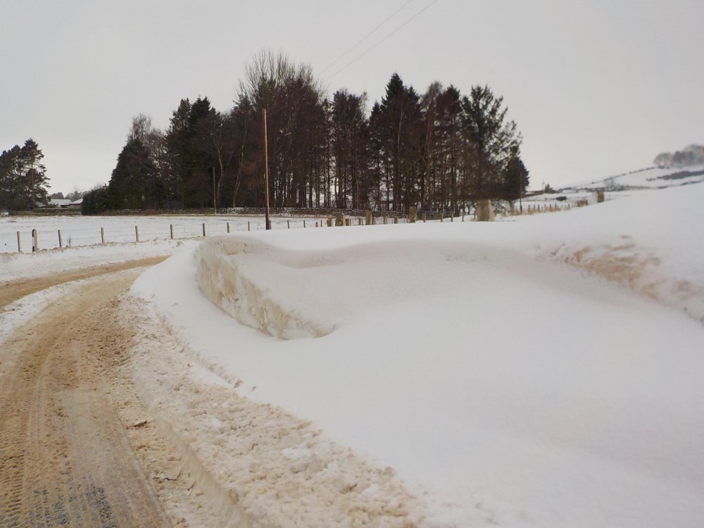 DSCN3925.JPG