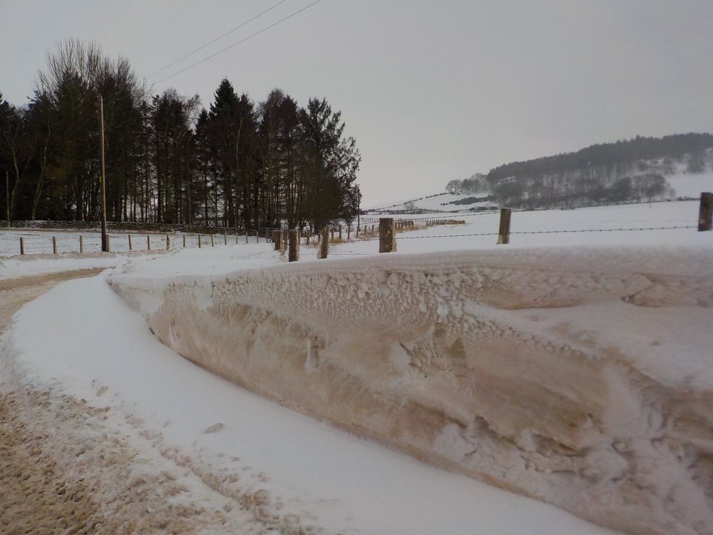 DSCN3926.JPG