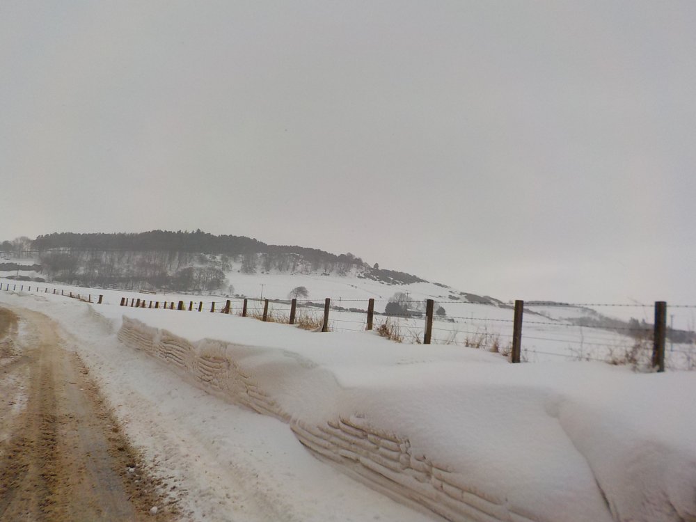 DSCN3930.JPG