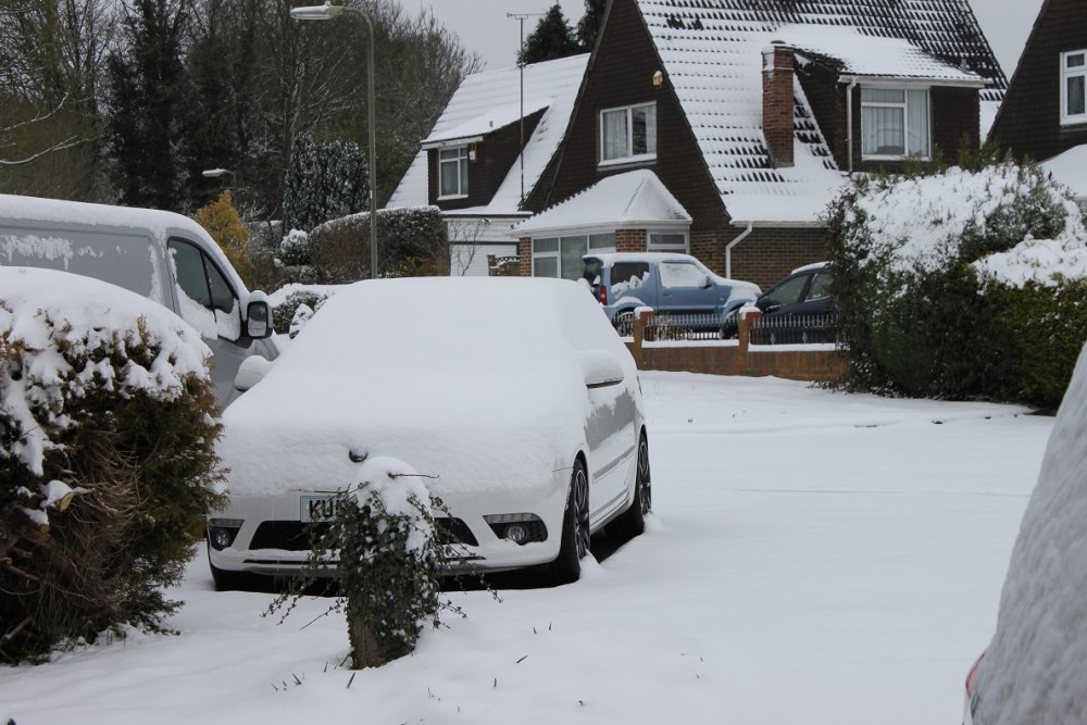 Snowtavia.thumb.jpg.1e453b2be2559b146acef90ae4af73f0.jpg